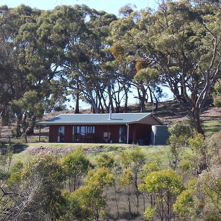 Bed and Breakfast Molly'S Chase Emu Flat Exterior foto